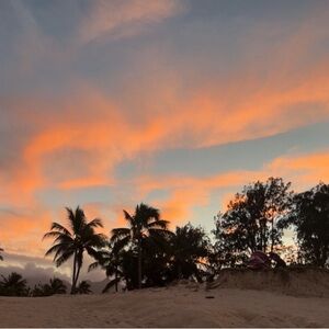 Meet your Posher, Mi Lan